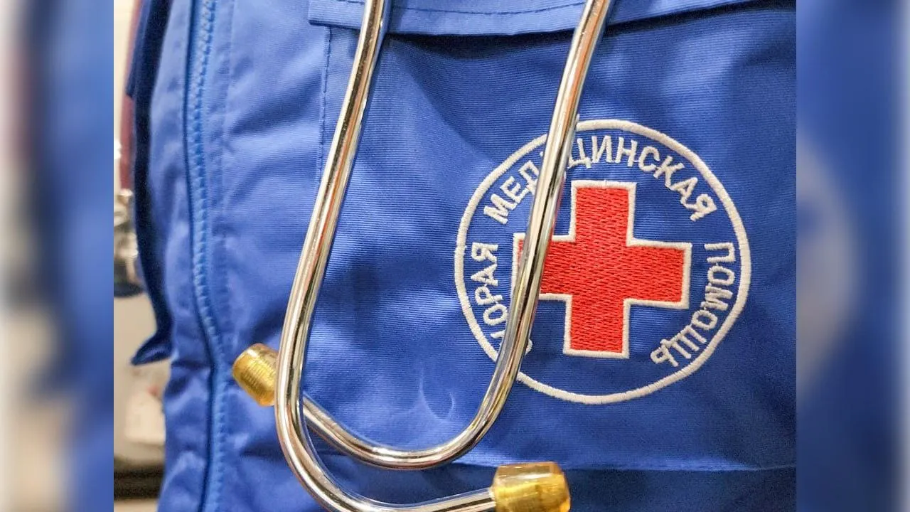 Фото: МедиаБанк Подмосковья/Мария Андрюхина