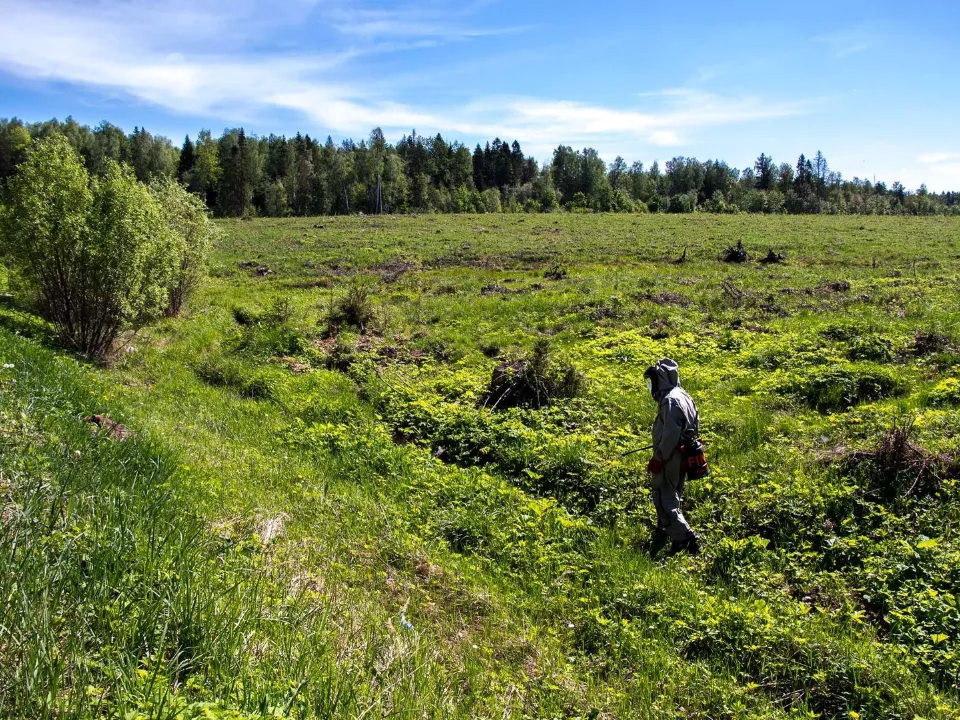 Фото: медиасток.рф