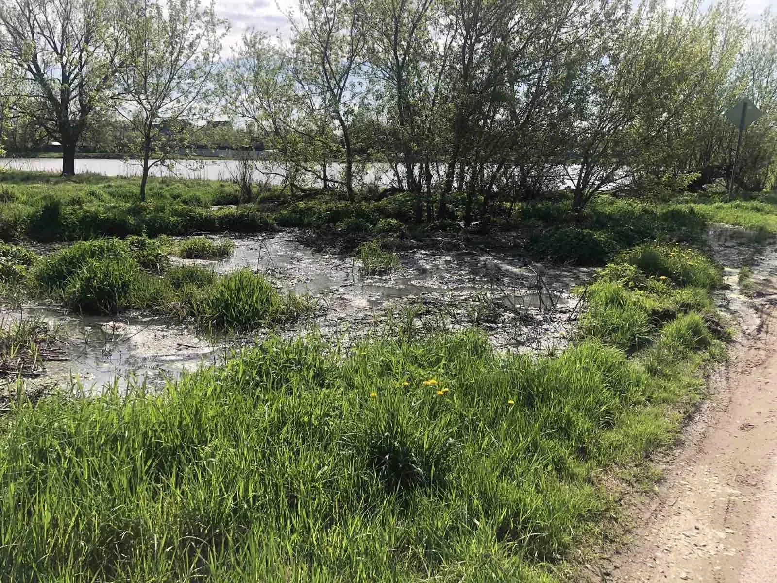 Фото: Пресс-служба Министерства ЖКХ Московской области