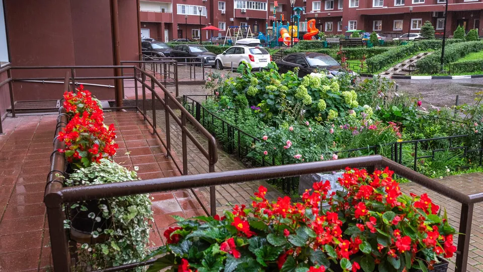 Фото: администрация г.о. Реутова