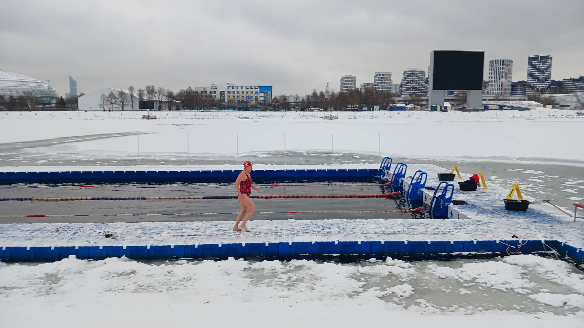 Фото: Сообщество «Белые медведи»