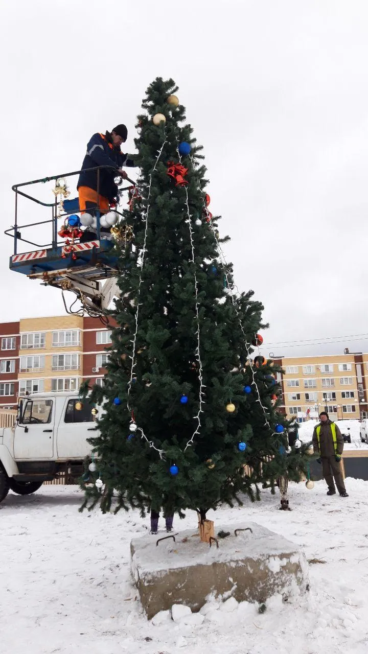 Фото: Микрорайон Малая Истра / Telegram