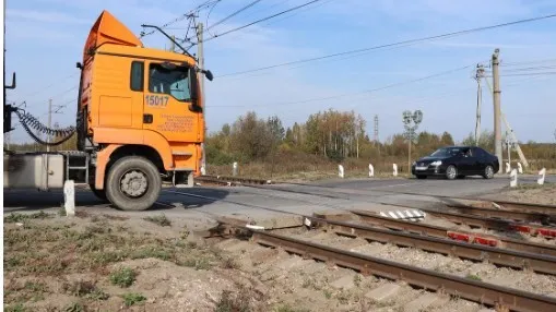 Фото: Василий Тремасов