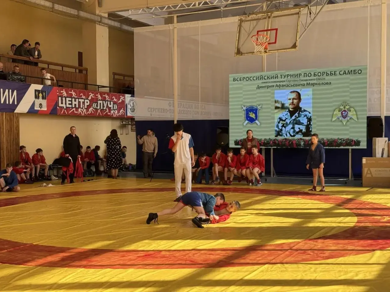 REGIONS/Татьяна Сташенко