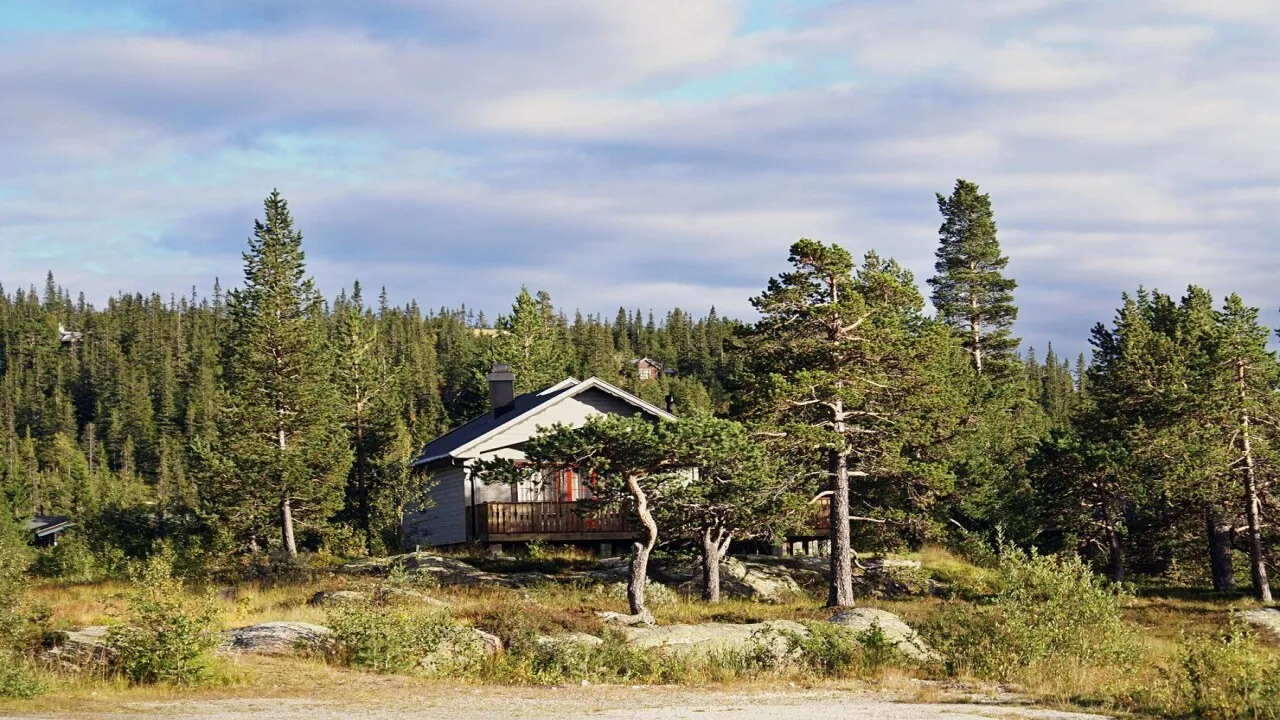 Фото: Freepik&nbsp;&nbsp;