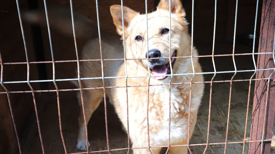 Фото: МедиаБанк Подмосковья/Данила Кирьянов