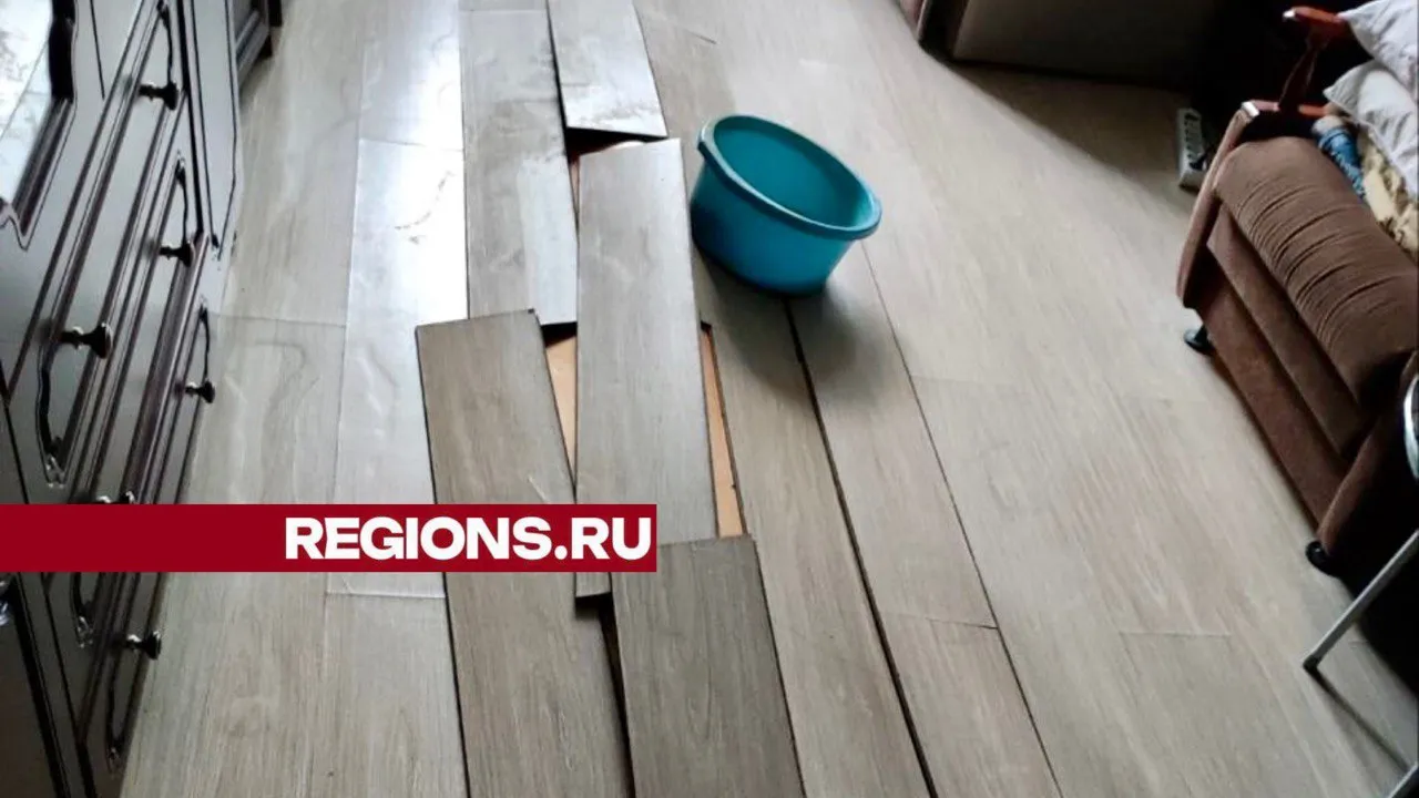 Фото: личный архив Алены Никифоровой