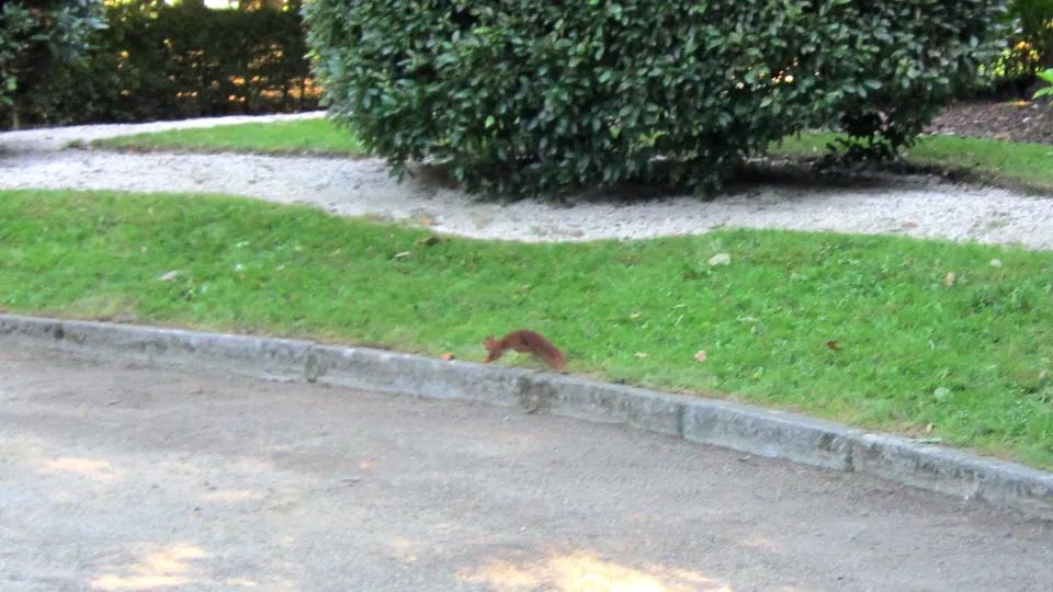 Фото: REGIONS/Олег Книжник