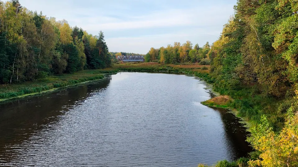 Фото: Михаил Мартыненко