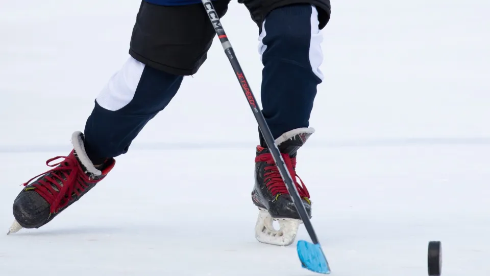 Фото: хоккейный комплекс г. Черноголовка