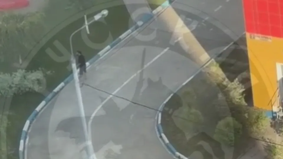 Фото: t.me/obshina_ru