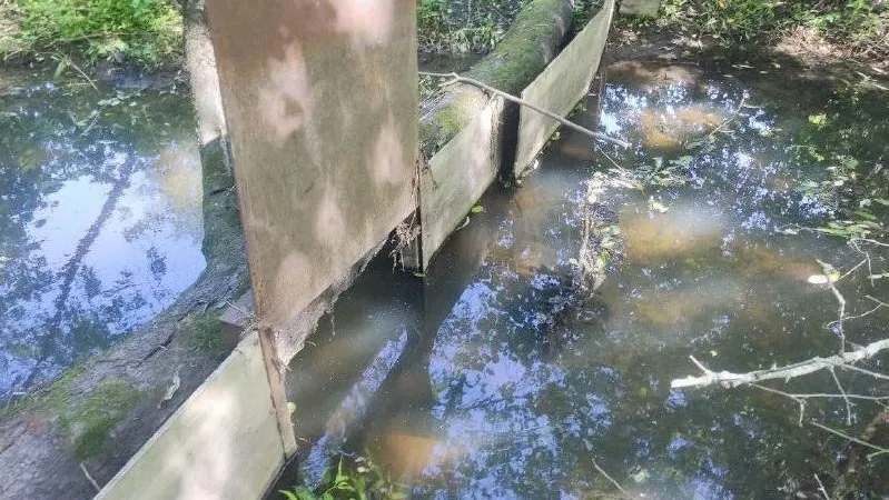 Министерство экологии и природопользования Московской области.