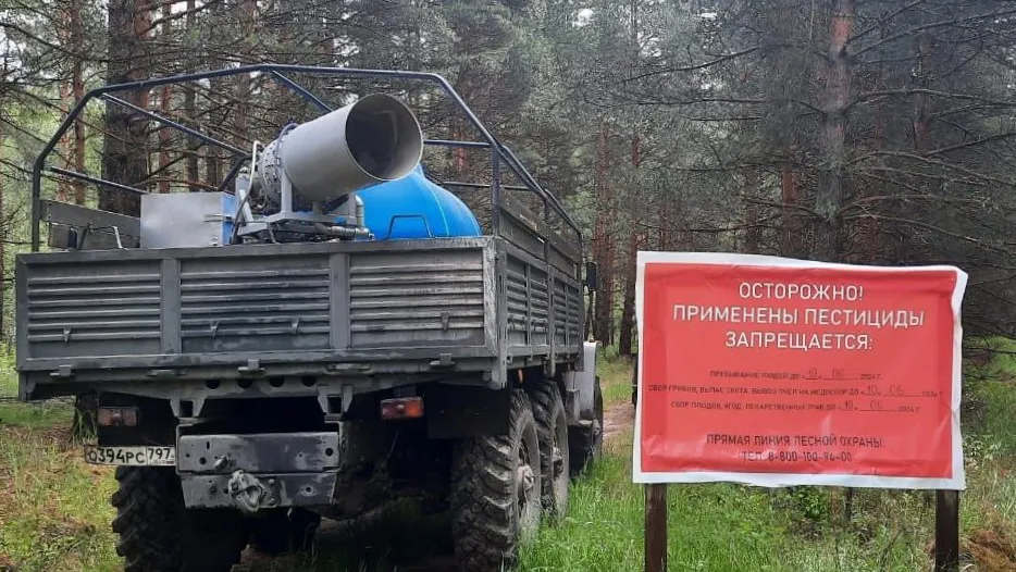 Фото: Евгений Константинов