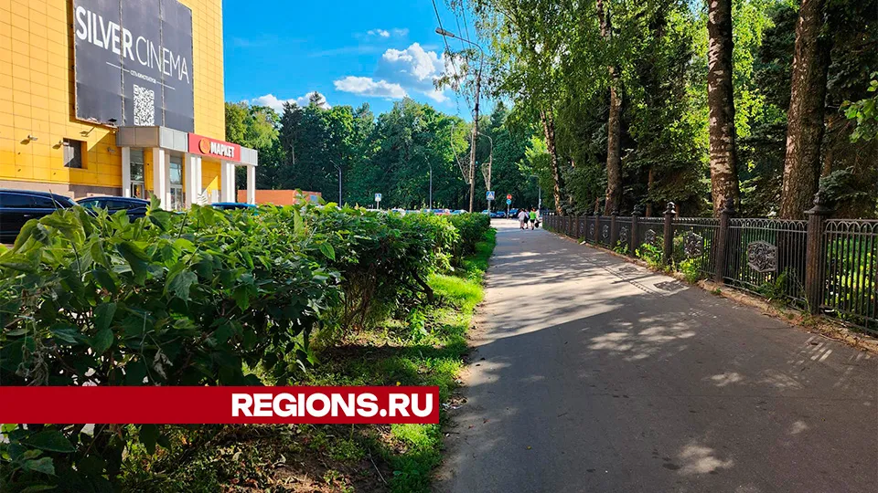 Фото: Светлана Плотникова