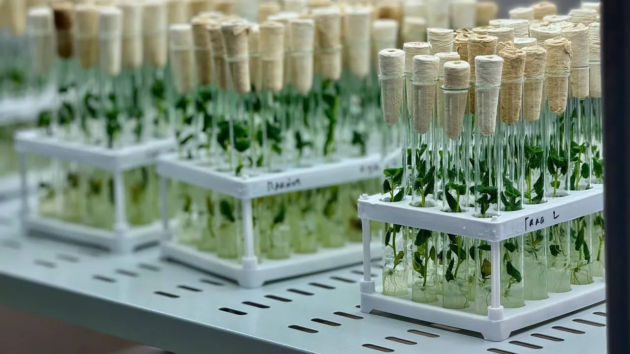 Фото: Министерство сельского хозяйства и продовольствия Московской области