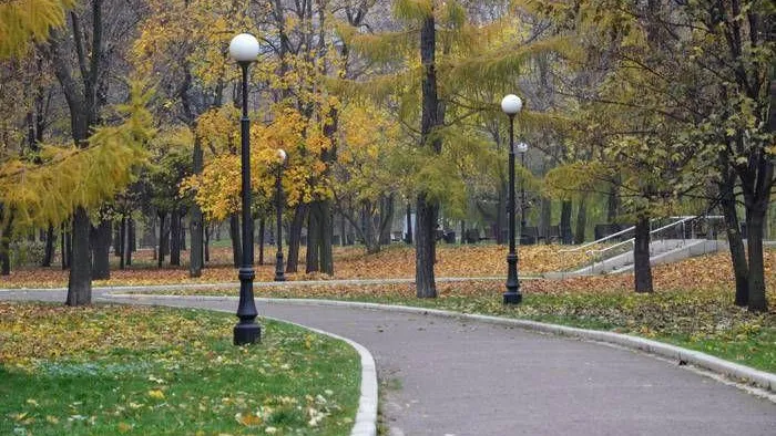 Анна Быкова, Вечерняя Москва