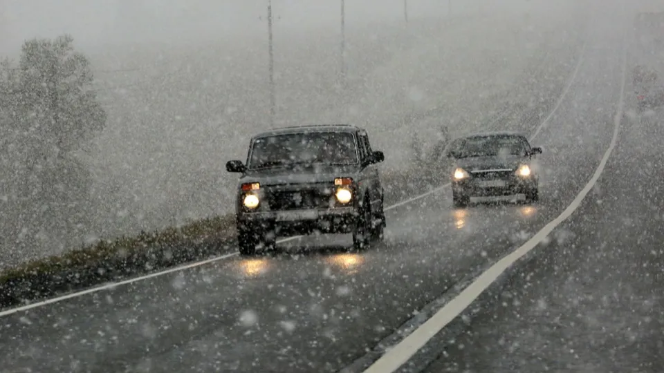 Фото: медиасток.рф