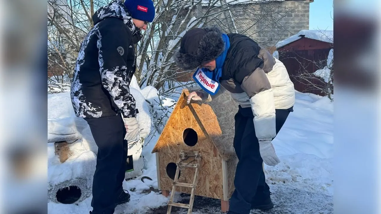 пресс-служба администрации Волоколамского м.о.