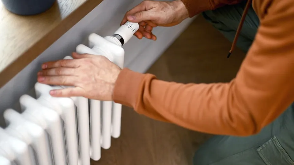 Фото: istockphoto.com/elenaleonova