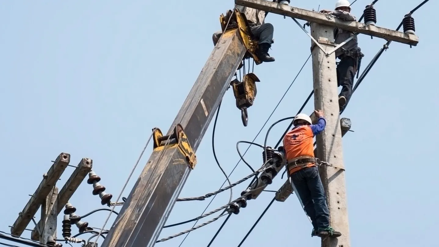 Фото: freepik.com