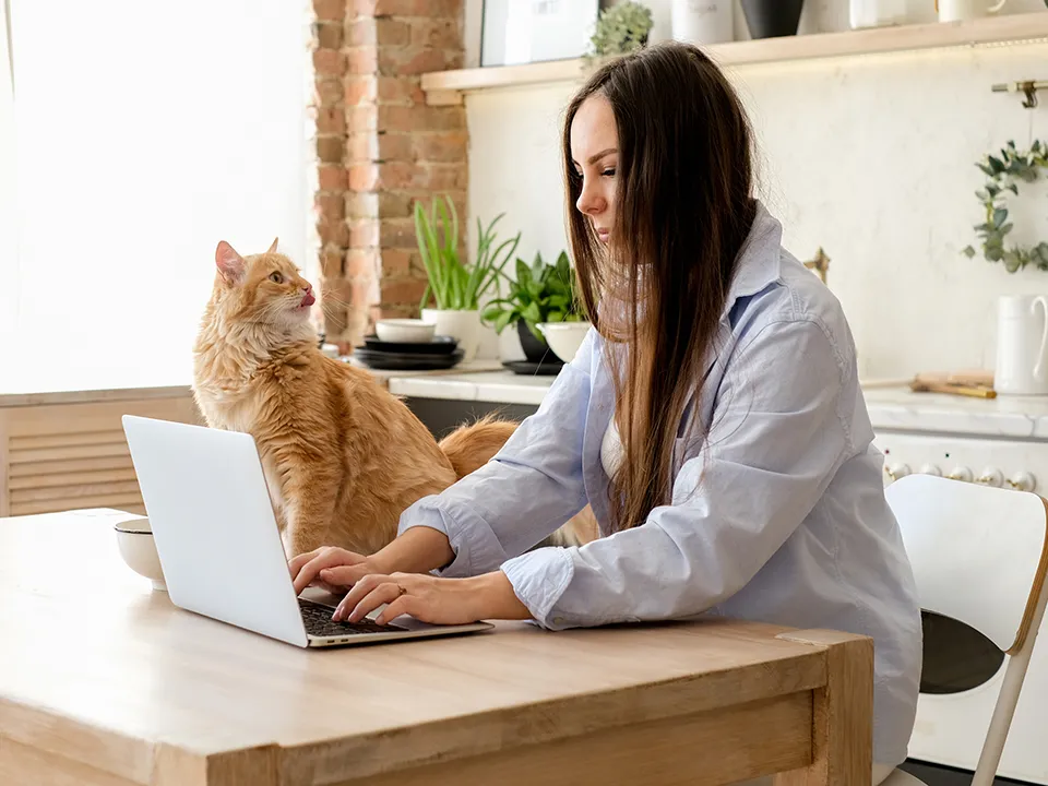 Фото: istockphoto.com/Lelechka