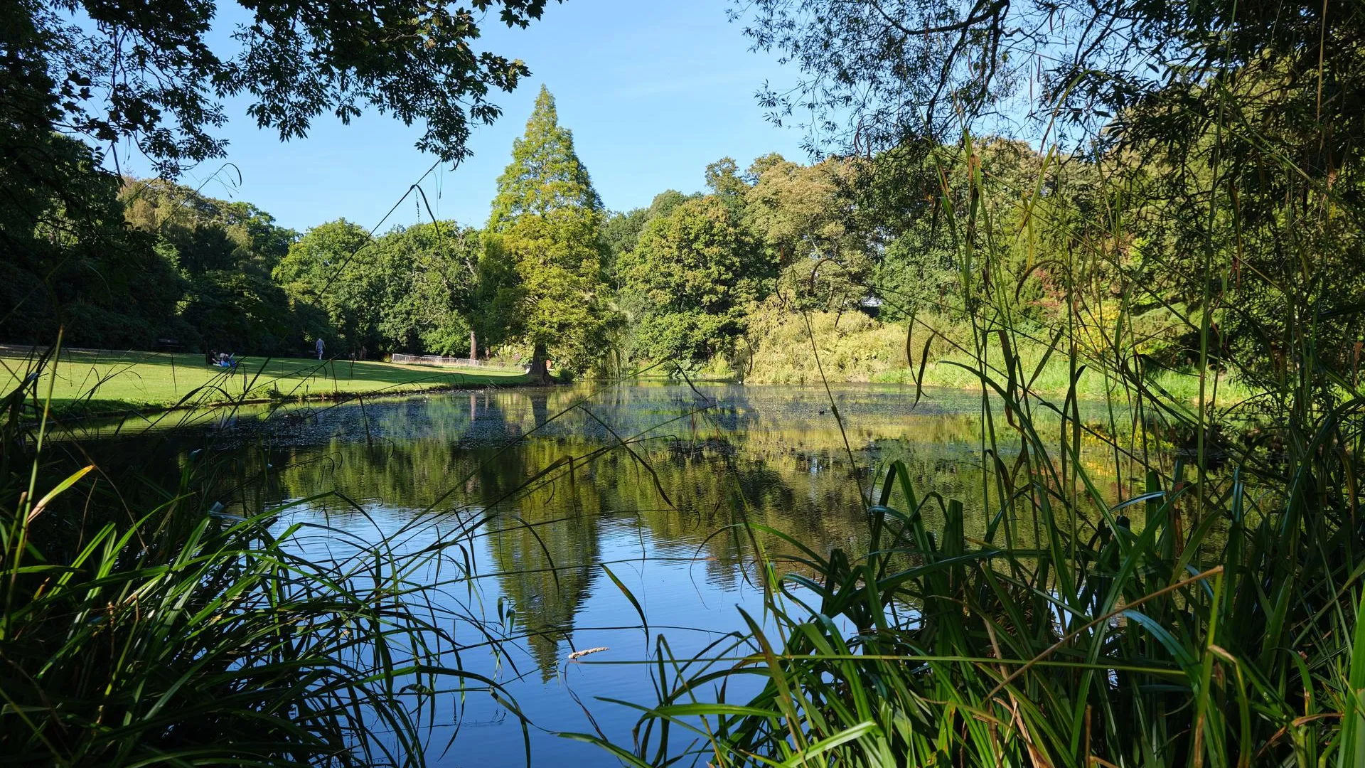 Изображение от wirestock на Freepik