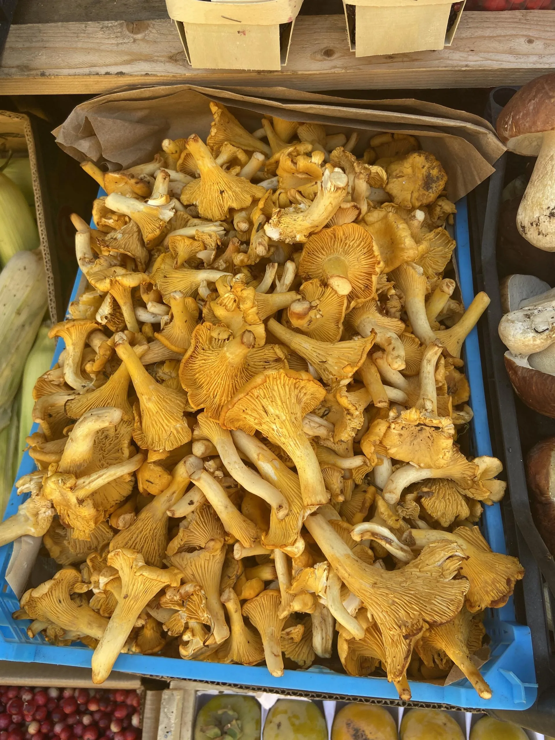 Фото: Светлана Борщева