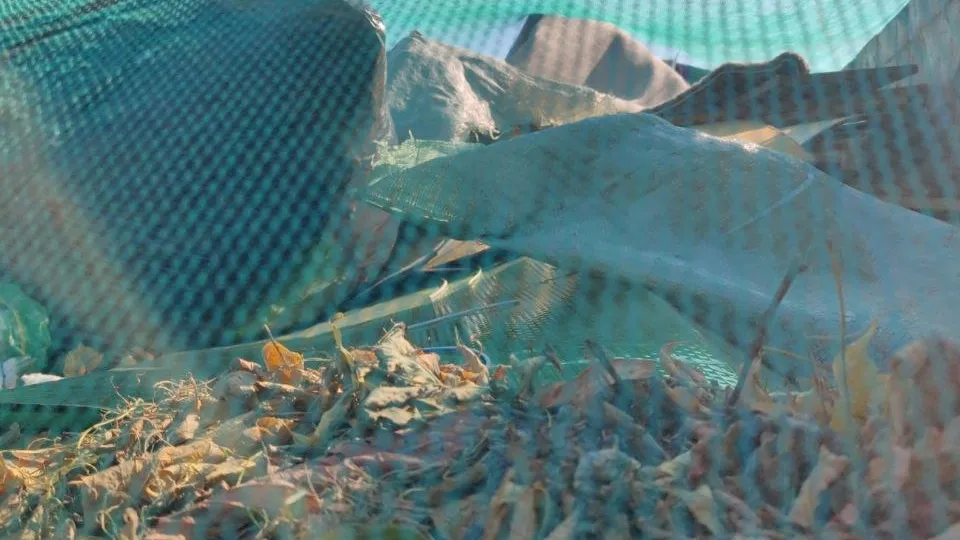 Фото: Министерство экологии и природопользования МО