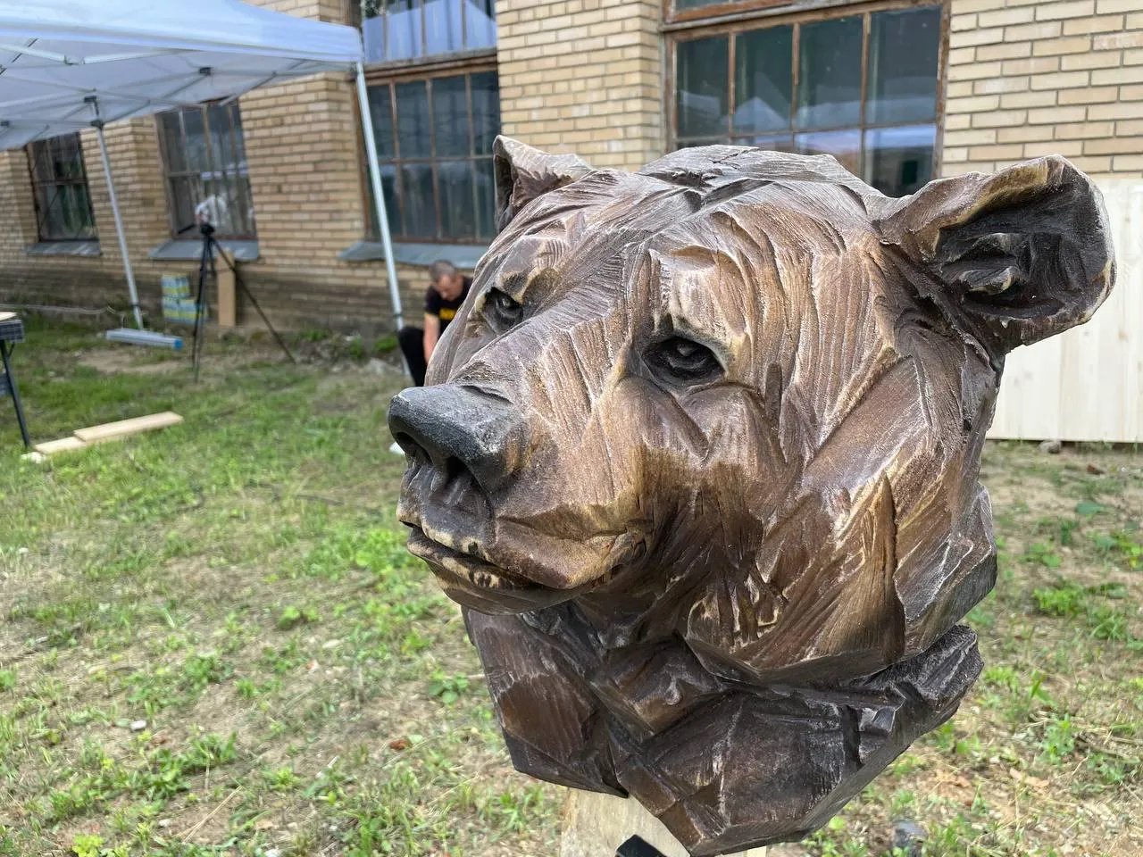 Фото: Раменский медиацентр&nbsp;