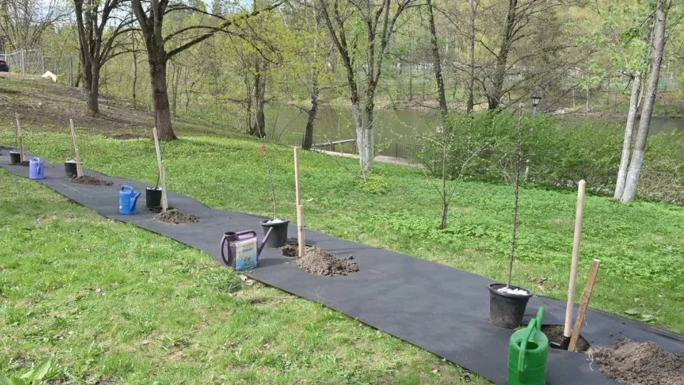 Фото: МедиаБанк Подмосковья/Елена Аботурова