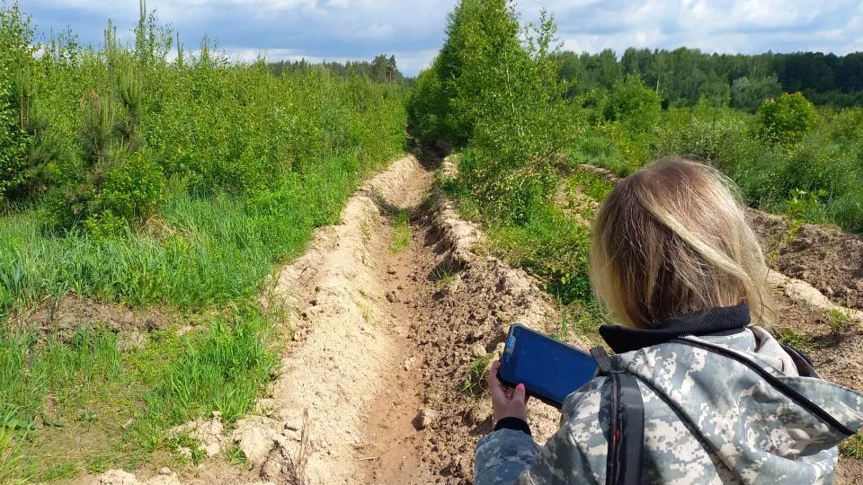 Фото: Комитет лесного хозяйства Московской области