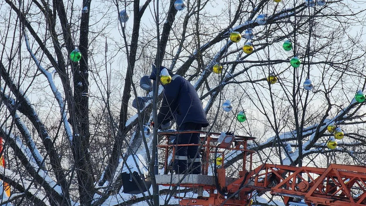 МедиаБанк Подмосковья/Ольга Аввакумова