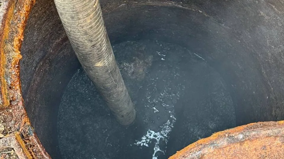 Фото: управление экологии городского округа Мытищи