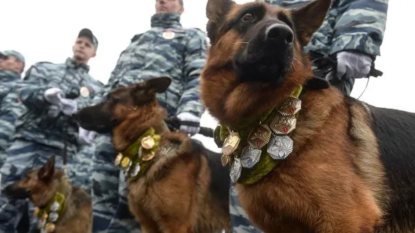 Григорий Сысоев / РИА Новости