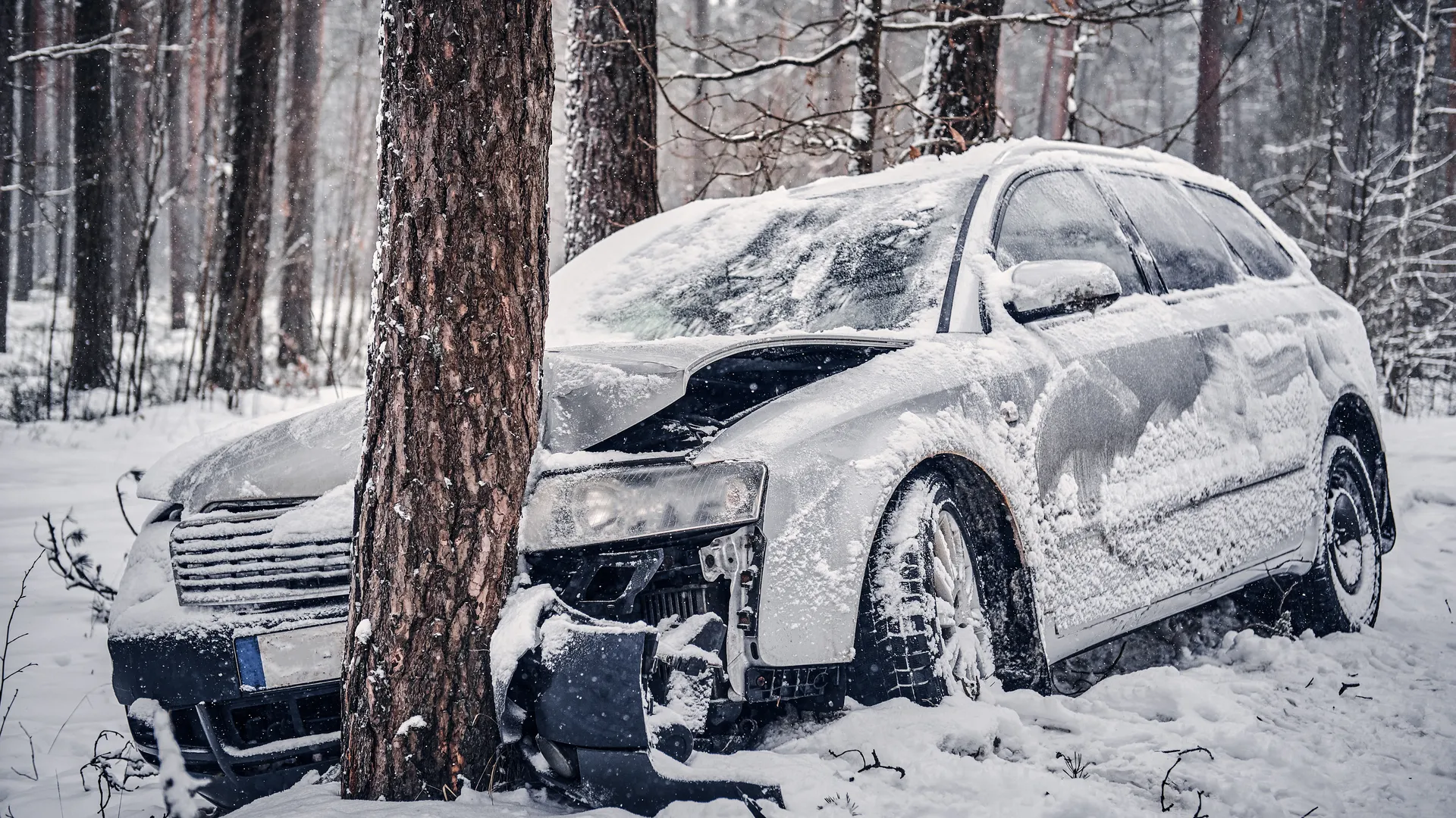 Изображение от fxquadro на Freepik