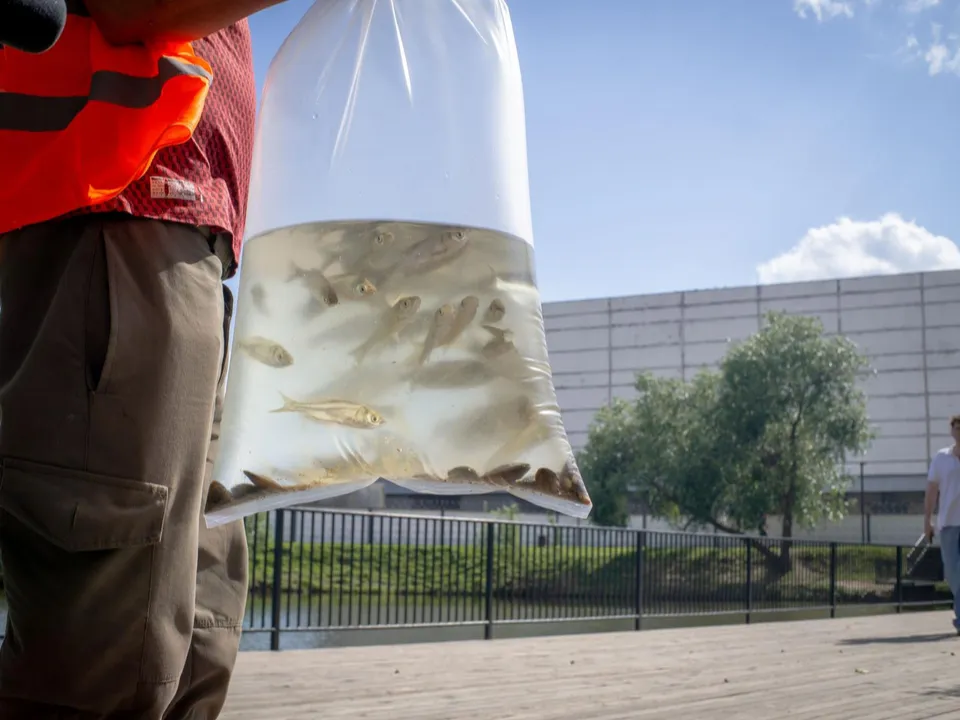 Фото: Илья Стрижевский&nbsp;