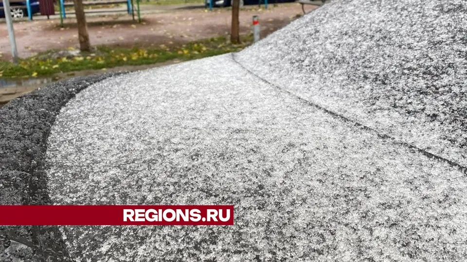 Фото: REGIONS/Ксения Верченко