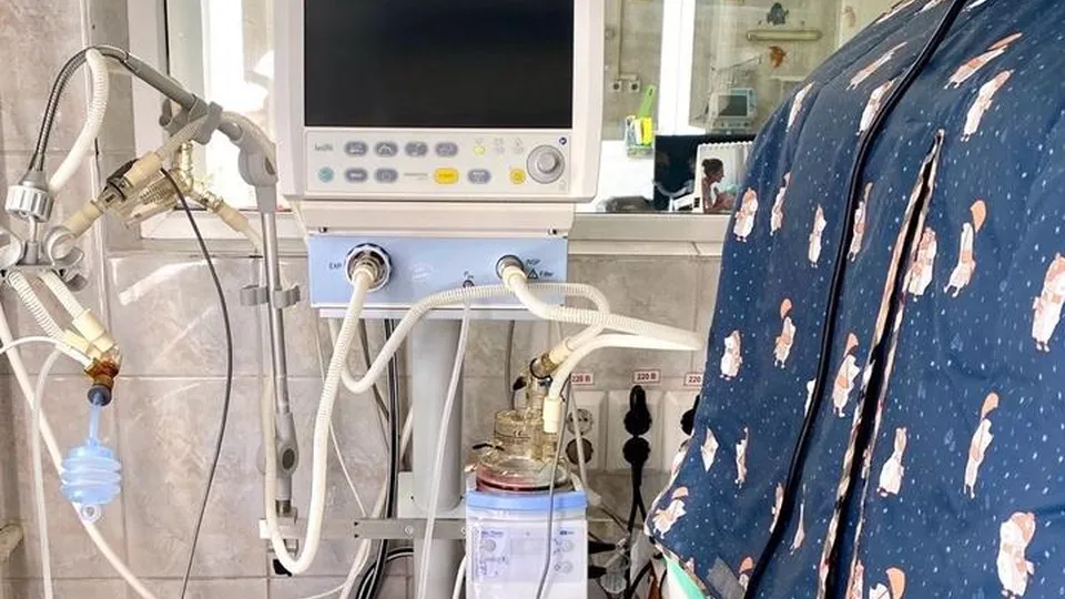 Фото: МОЦОМД