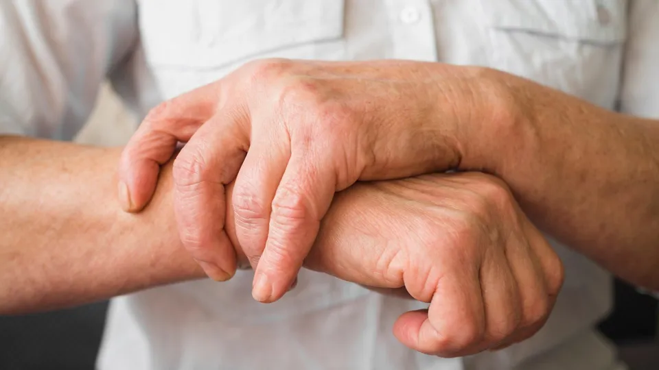 Фото: freepik.com