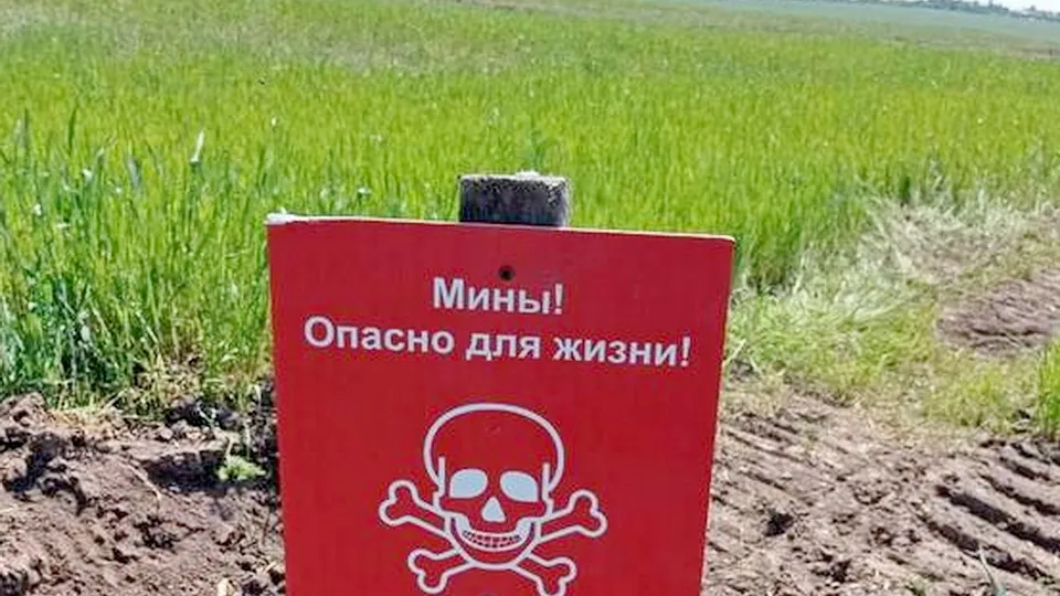 Фото: Алексей Стопичев