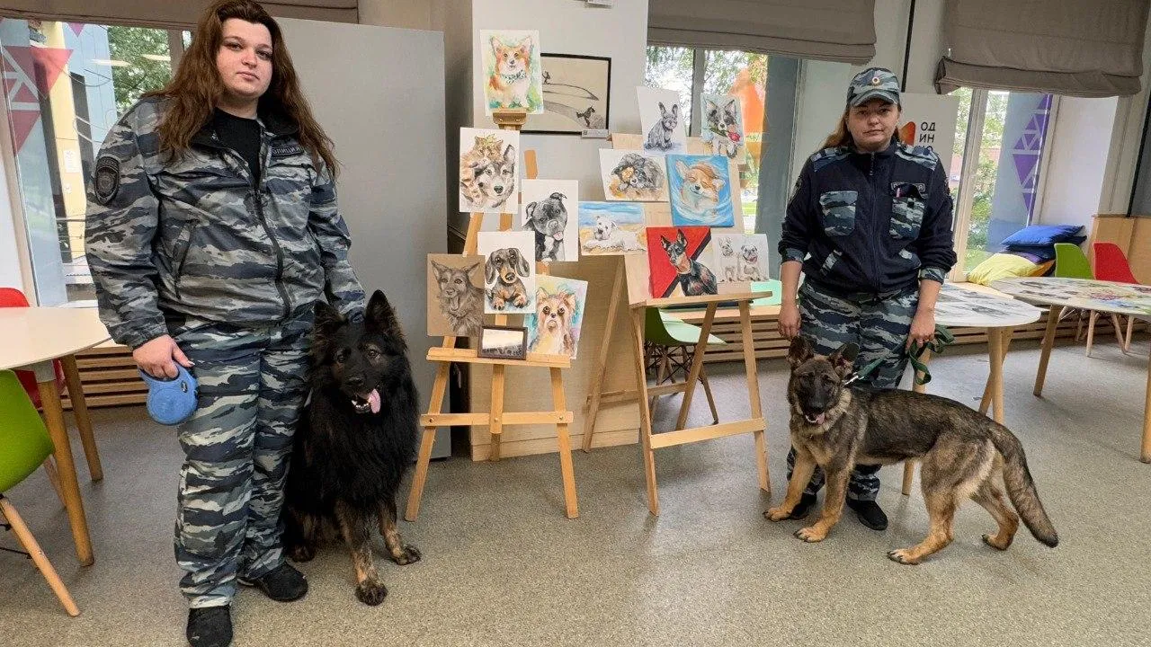 МедиаБанк Подмосковья