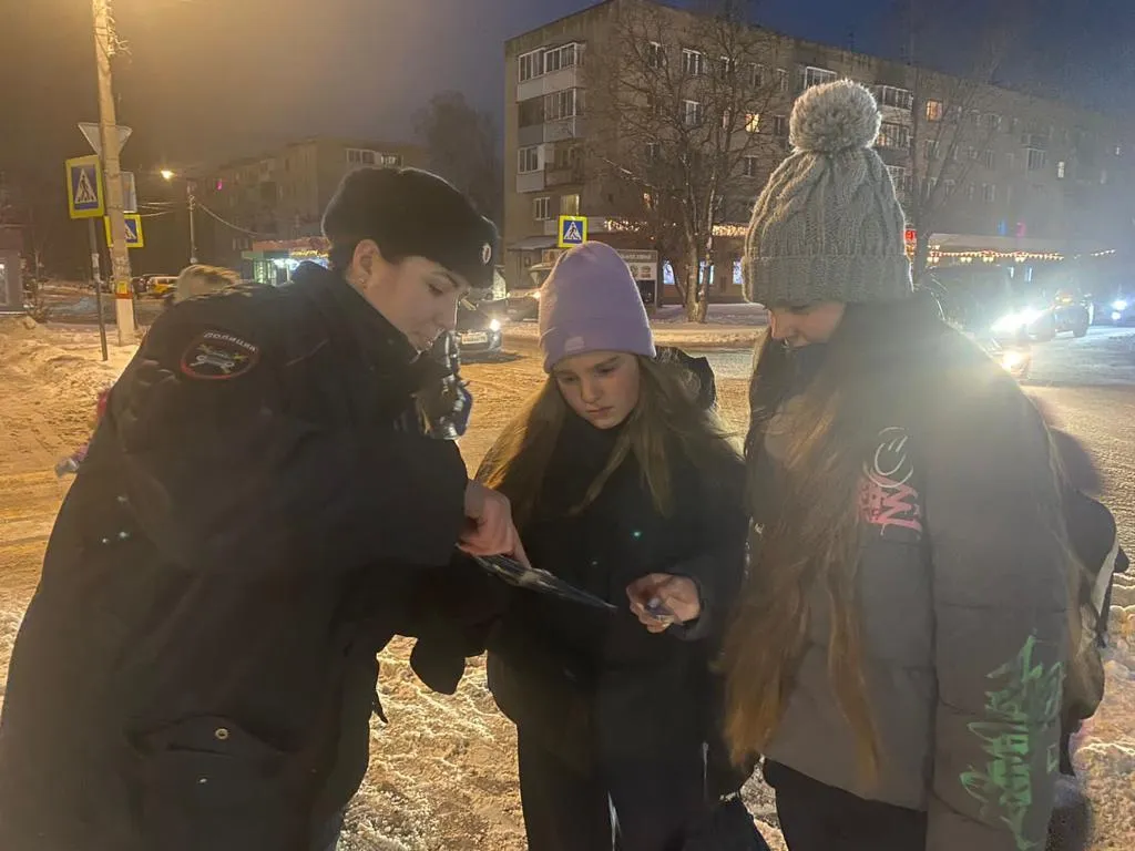 Источник: пресс-служба ОМВД России «Павлово-Посадский»