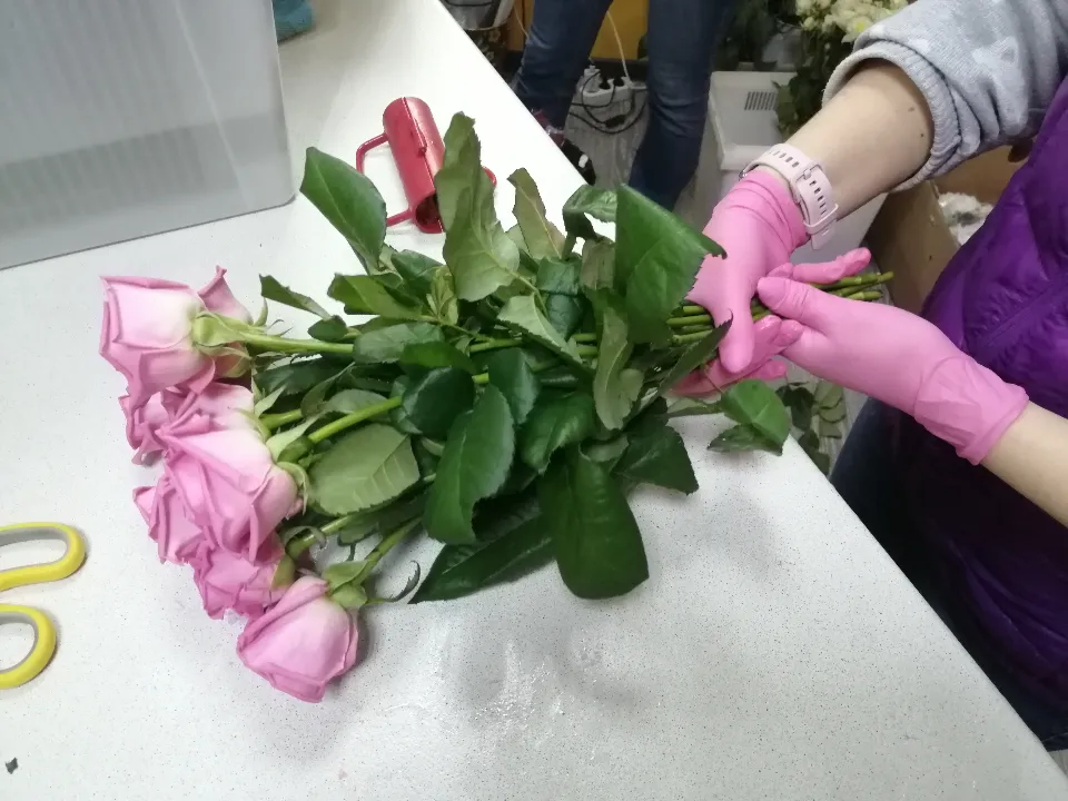 Фото: МедиаБанк Подмосковья/Анна&nbsp;Мороз