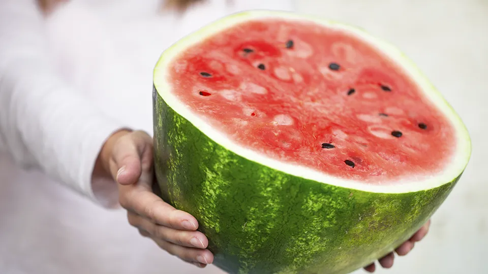 Фото: freepik.com