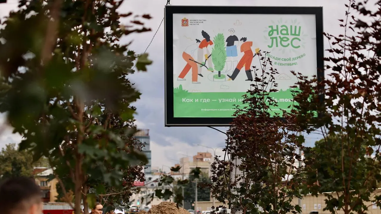 Комитет лесного хозяйства МО