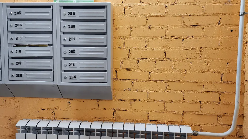 Фото: МедиаБанк Подмосковья/Ксения Пашуто