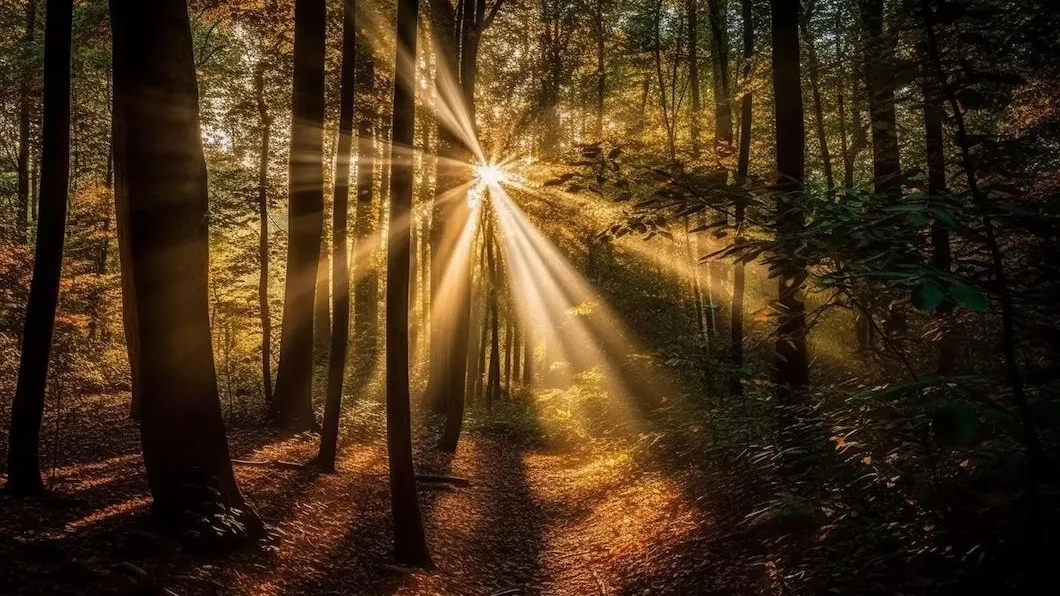 медиасток.рф