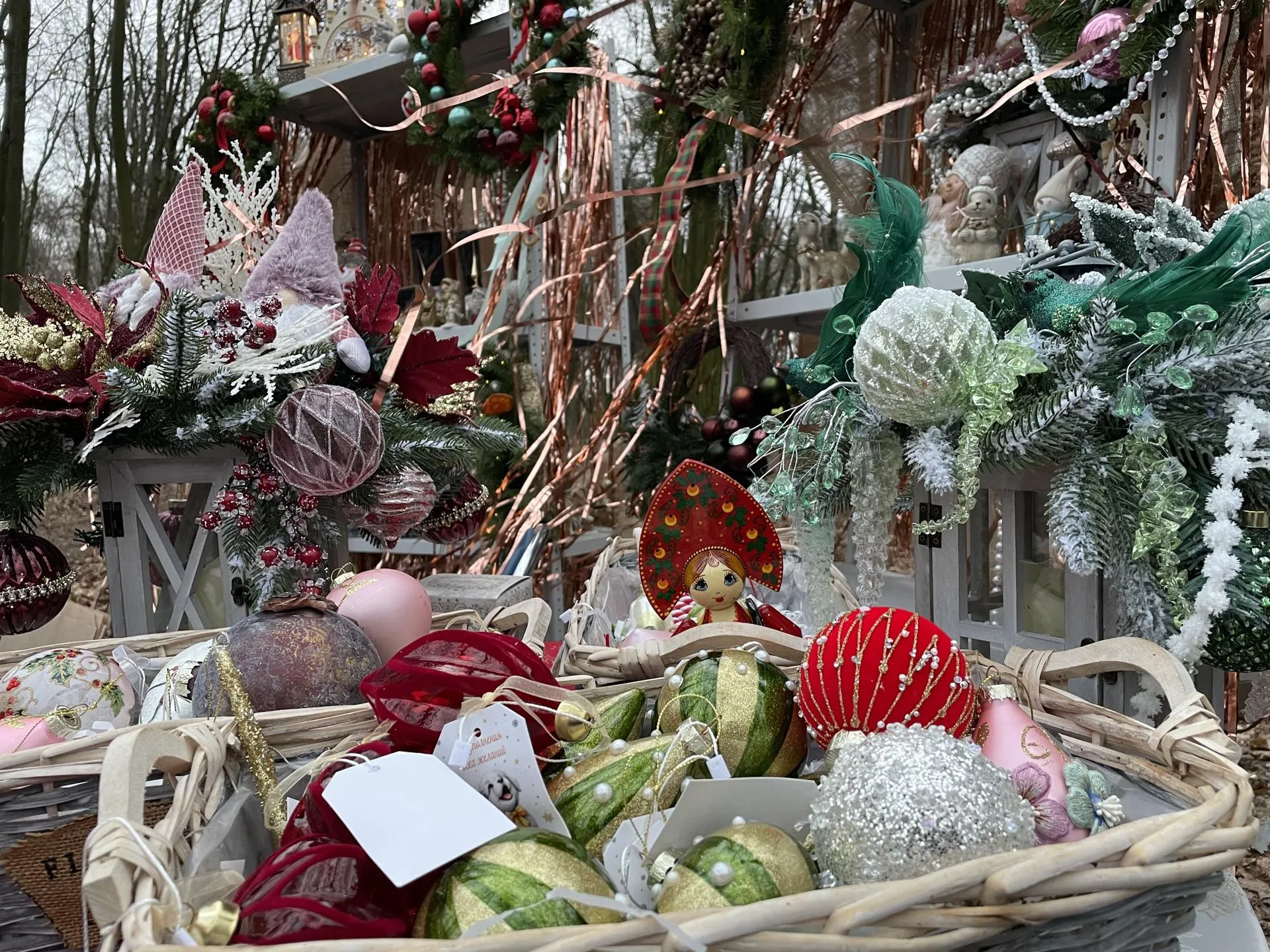 Фото: Раменский медиацентр