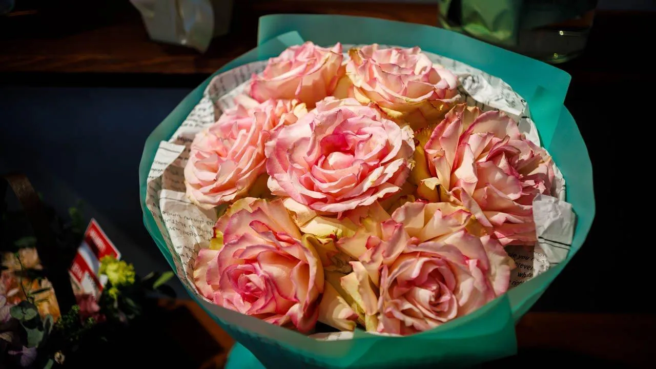 REGIONS/Сергей Шешин