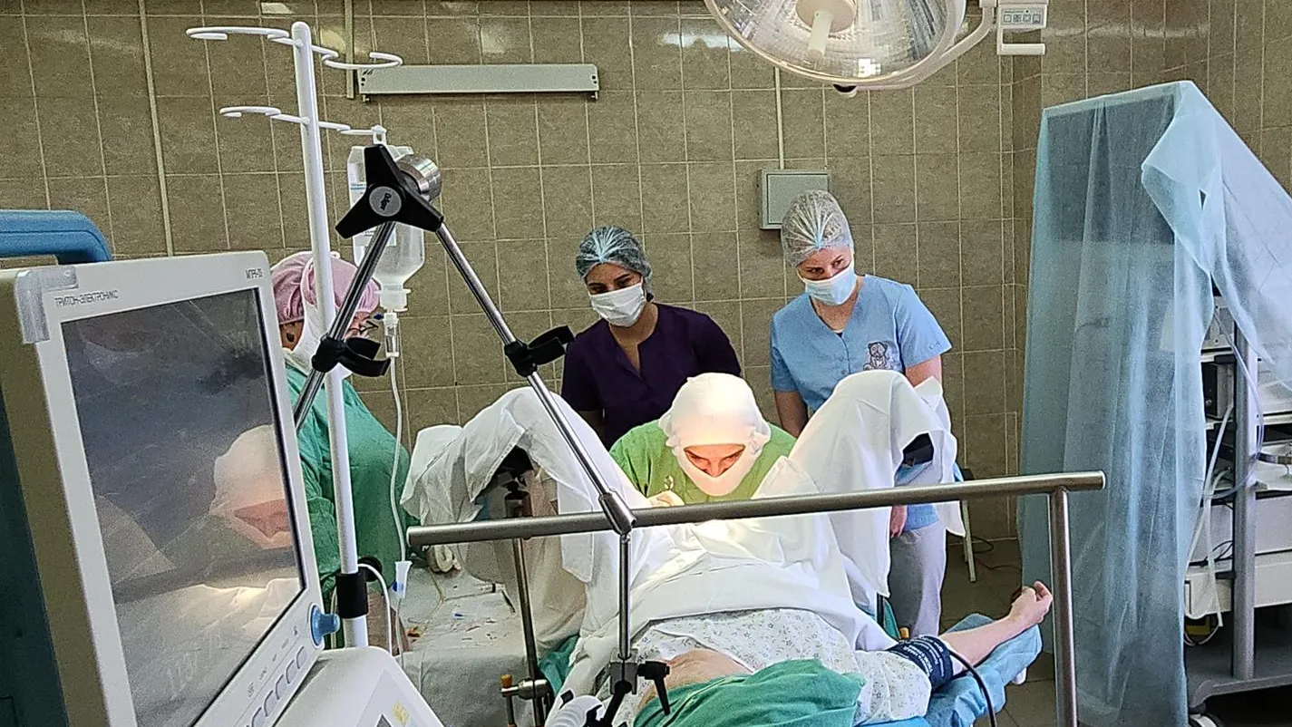 Фото: Нина Басистая